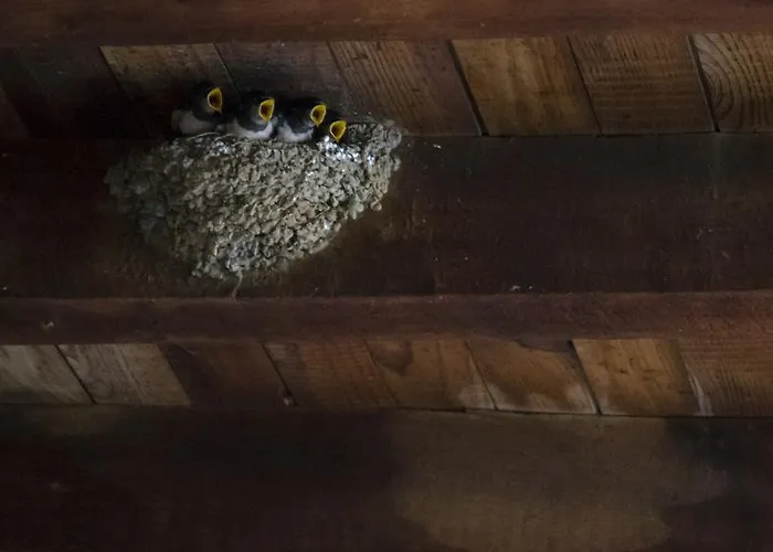 Guest house La Traperia Hostal - Pension Con Encanto